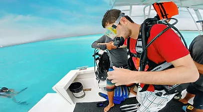 scuba diving excursions